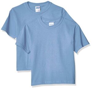 Gildan Youth Ultra Cotton T-Shirt, Style G2000B, 2-Pack, Carolina Blue, Large