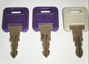 Global Link G388 Keys with G391 Storage Compartment Key RV’s Motorhome Trailer Key Cut to Key & Lock G388 Purple RV Keys 1 Gray G391 Replacement Keys (G388)