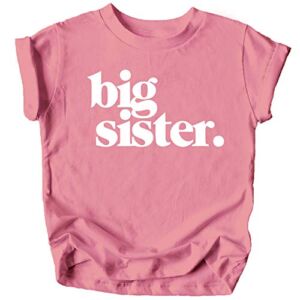 Bold Big Sister Colorful Sibling Reveal Announcement T-Shirt for Baby and Toddler Girls Sibling Outfits Mauve Shirt 18 Months