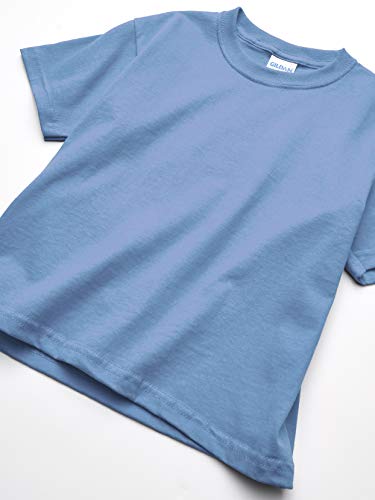 Gildan Youth Ultra Cotton T-Shirt, Style G2000B, 2-Pack, Carolina Blue, Large | The Storepaperoomates Retail Market - Fast Affordable Shopping