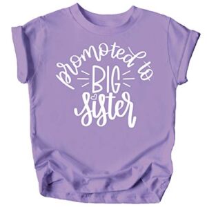 Olive Loves Apple Promoted to Big Sister Colorful Announcement T-Shirt for Baby and Toddler Girls Sibling Outfits Purple Shirt