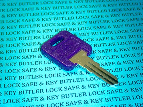 Global Link G364 RVs Motorhome Trailer Key Cut to Key/Lock Number G364 ONE Purple GLOBAL LINK LOCK Replacement Key | The Storepaperoomates Retail Market - Fast Affordable Shopping