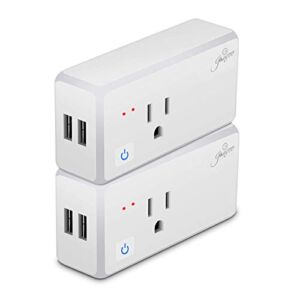Wi-Fi Smart Plug Wireless Outlet 15A with 2 USB Ports,App Remote Control Your Devices ，Timer Switch，Voice Control，Set schedule timer, Smart Socket Compatible with Alexa and Google Assistant