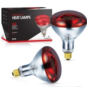 BULBMASTER 250 Watts R40 Red Heat lamp Flood Light Bulb Infrared Reflector 250R40/HR Incandescent Medium E26 Base 2 Pack