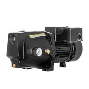 RainBro 1 HP Cast Iron Shallow Well Jet Pump For Wells Up To 25 ft., Shallow Well Water Pump, Model# CSW100