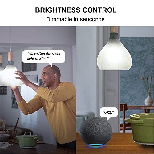 Sengled Alexa Light Bulb, WiFi Light Bulbs, Smart Light Bulbs, Smart Bulbs that Work with Alexa & Google Assistant, A19 Daylight (5000K) No Hub Required, 800LM 60W Equivalent High CRI>90, 4 Pack | The Storepaperoomates Retail Market - Fast Affordable Shopping