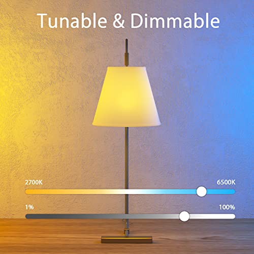 Candelabra Smart Bulb E12 LED Smart Light Bulbs WiFi RGB Color Changing Smart Lights That Work with Alexa Google Home Music Sync Tunable White 5W 400lm No Hub Required 1 Pack | The Storepaperoomates Retail Market - Fast Affordable Shopping