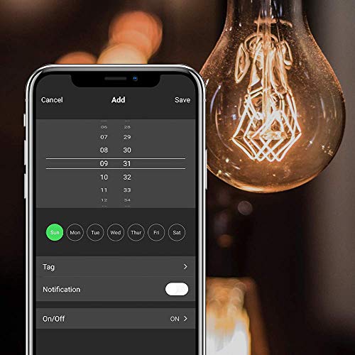 Aoycocr Smart Dimmer Plug 2 Sockets, Outdoor Smart Outlet Work with Alexa Google Home Light Dimmer APP Remote Control Max Power 400W IP55 Waterproof for Dimmable Outdoor Lights Floor Lamp Table Lamp | The Storepaperoomates Retail Market - Fast Affordable Shopping