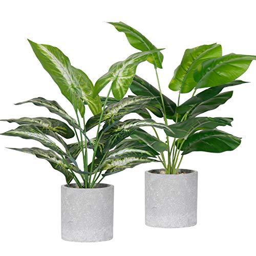 Der Rose 2 Pack Fake Plants Artificial Potted Faux Plants for Office Desk Home Farmhouse Decor | The Storepaperoomates Retail Market - Fast Affordable Shopping