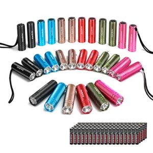 EverBrite 30-Pack Mini Flashlight Set, Aluminum LED Handheld Torches with Lanyard, Assorted Colors, 90 Batteries Included for EDC, Party Favors, Night Reading, Camping, Power Outage, Emergency