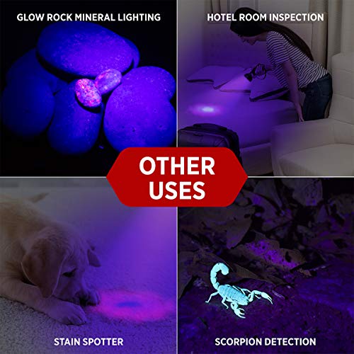 UV Flashlight Black Light from GEARLIGHT – 68 LED Blacklight Flashlight Dog/Cat Pet Urine Detector, Scorpion, Bed Bug, Resin Curing, Dog Stain, and Carpet Odor Eliminator Remover, ID Checking _XR68 | The Storepaperoomates Retail Market - Fast Affordable Shopping