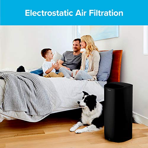 Filtrete F2 Room Air Purifier Filter, True HEPA Premium Allergen, Bacteria, and Virus, 13 in. x 8.2 in., 2-Pack, works with devices: FAP-C02WA-G2, FAP-C03BA-G2, FAP-T03BA-G2 and FAP-SC02N | The Storepaperoomates Retail Market - Fast Affordable Shopping