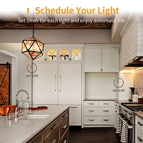 Smart Bulbs Works with Apple HomeKit, Color Changing Smart Light Bulbs Compatible with Siri, Alexa and Google Home, A19 LED Bulb, E26 Fitting, 2700K-6500K Dimmable, 9W 810 Lumens, 2 Pack | The Storepaperoomates Retail Market - Fast Affordable Shopping