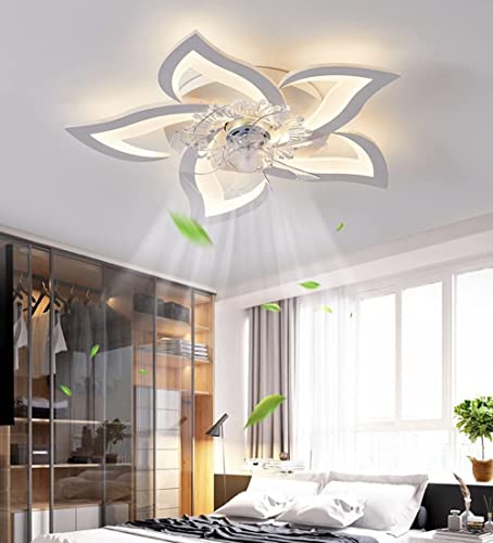The Hanging Fan Bubbles, The Light -Suction top Light with The Remote Control, 6 Speed, Memory Function, Reverse Rotation, Living Room Bedroom Restaurant Fan Chandelier (Size : 69cm) | The Storepaperoomates Retail Market - Fast Affordable Shopping