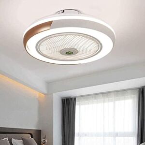 DDTP Ceiling Fan with Light Dimmable,Led Fan Chandelier with Remote Control 3 Speed Adjustable Modern Invisible Ceiling Fan Lamp Dining Room Bedroom Living Room Quieta Lighting/220V