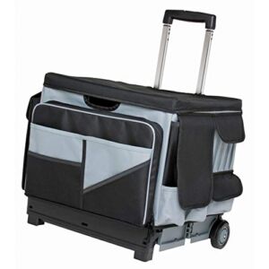 ECR4Kids Universal Rolling Cart with Canvas Organizer Bag, Mobile Storage, Black