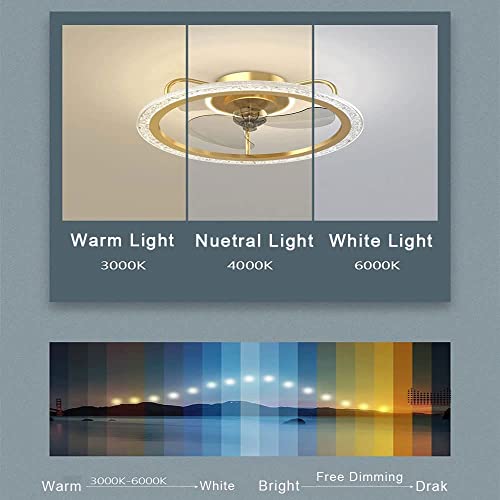ZXCAQD Gold Indoor Ceiling Lights with Remote Control 19.7”，LED Dimmable Speed Regulation Low Profile Enclosed Ceiling Fan Light Flush Mount for Dining Room Bedroom Living Room | The Storepaperoomates Retail Market - Fast Affordable Shopping