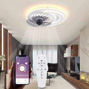 DDTP 18.5In Led Ceiling Fan with Lighting,65W Dimmable Led Ceiling Lamp Fan with App Control and Remote Control 3 Colors Dimmable for Bedroom Living Room