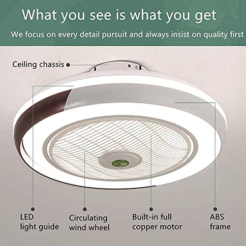 DDTP Ceiling Fan with Light Dimmable,Led Fan Chandelier with Remote Control 3 Speed Adjustable Modern Invisible Ceiling Fan Lamp Dining Room Bedroom Living Room Quieta Lighting/220V | The Storepaperoomates Retail Market - Fast Affordable Shopping