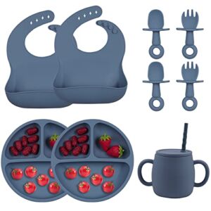 Baby Feeding Supplies – Led Weaning Silicone Baby Feeding Set, Suction Plates with Suction, Toddler Sippy Cup, First Stage Self Feeding Utensils Dishes Set with Bibs, Baby Spoons and Forks, 9 Pieces