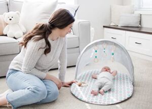 Regalo Baby Basics™ Foldable Infant Play Mat, Includes Hanging Toys, Designer Pad, Bug Net, and UPF 50 Sunshade
