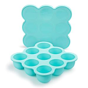 Btrfe Baby Food Storage Container, 9 Portions Silicone Baby Food Freezer Tray with Lid, Perfect for Homemade Baby Food Vegetable & Fruit Purees and Breast Milk (Waterspout Blue)