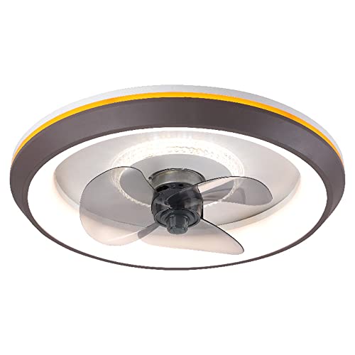 RIIGOOG Indoor Low Profile 19.7 Inches Ceiling Fan with Lights Invisible 3 Colors Dimmable Ceiling Fan with Remote Modern Mute Fan Light for Bedroom Living Room Kids Room | The Storepaperoomates Retail Market - Fast Affordable Shopping