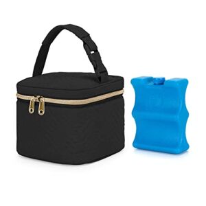 Fasrom Breastmilk Cooler Bag with Ice Pack Fits 4 Baby Bottles up to 5 Ounce, Insulated Baby Bottle Bag for Nursing Moms Daycare or Travel, Easily Attaches to Stroller, Black (Patent Pending)