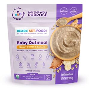 Ready, Set, Food! Organic Baby Oatmeal Cereal | Peanut Butter Banana – 15 Servings | Organic Baby Food with 9 Top Allergens: Peanut, Egg, Milk, Cashew, Almond, Walnut, Sesame, Soy & Wheat | Unsweetened | Fortified with Iron