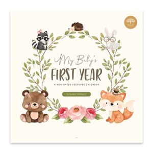 Baby’s First Year Calendar by Bright Day – 1st Year Tracker – Journal Album to Capture Precious Moments – Milestone Keepsake for Baby Girl or Boy