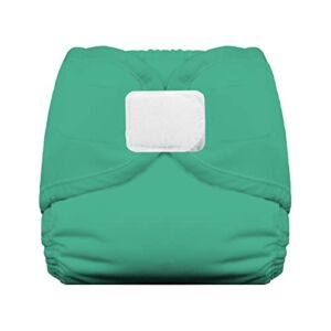 Thirsties Reusable Cloth Diaper Cover, Hook & Loop Closure, Seafoam, Medium, Medium (18-28 Pound) (TDCHLSea3)