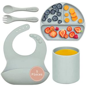Baby Silicone Feeding Set – Baby Led Weaning Set – Baby Bib, Suction Divided Plate, Dinnerware Cup, Soft Baby Spoon & Fork – Food Grade Silicone, Toddler Utensils Plates, Baby Feeding Supplies