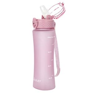 OLDLEY Kids Water Bottle with Straw 15 oz BPA-Free Leak-Proof Water Bottles with Time Marker for School Sports Travel Gym, Easy Use for Girls Goys, 1 Straw Lid, Candy Pink