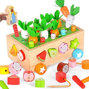 Montessori Toys Wooden Educational Learning Toys for 1 2 3 4 Year Old, Toddler Boy Girl Toy Gift Wood Preschool Fine Motor Skills Learning Games