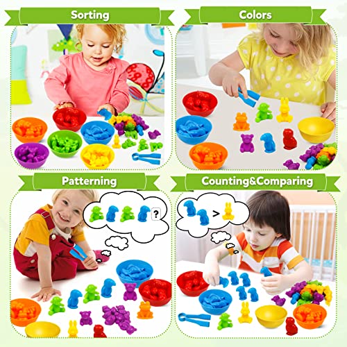 Counting Animal Matching Games Color Sorting Toys with Bowls Preschool Learning Activities for Math Educational Sensory Training Montessori STEM Toy Sets Gift for Toddlers Kids Boys Girls Ages 3 4 5 6 | The Storepaperoomates Retail Market - Fast Affordable Shopping