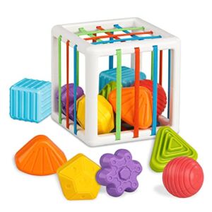 Shape Sorter Baby Toys 12-18 Months, Montessori Learning, Developmental Toys, Storage Cube Bin & 6 Sensory Shape Blocks, Fine Motor Skills, Birthday Gifts Toddler Boy Girl Age 1 2 3（6 Pieces）