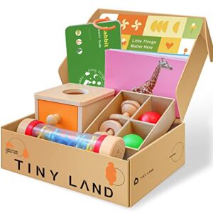 Tiny Land Montessori Toys for 1 Year Old – Wooden Learning Educational Toy Set for 6 – 12 Month Boys and Girls, Includes Teething Toys, Rainmaker Baby Toys, Flash Card, and Object Permanence Box