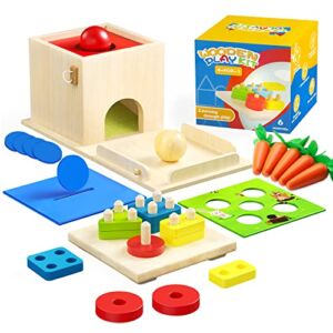 Sueseip 4 for 1 Montessori Toys for Babies 6-12 Months,Includes Wooden Object Permanence Box,Shape Sorter,Carrot Harvest,Coin Box,Ball Drop Learning Toys for 1-3 Year Old Baby Girls Boys Gift