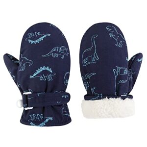 Fynnsure Toddler Mittens Lined Fleece Snow Gloves for Boys Girls Kids Winter Ski Gloves Baby Mittens Blue 2-4 Years