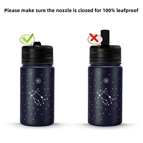 BJPKPK Kids Insulated Water Bottle with Straw Lid, Stainless Steel Water Bottles for Toddlers, Kids Water Bottle for School, Reusable Leak Proof BPA-Free Flask, 15oz Constellation-Gemini | The Storepaperoomates Retail Market - Fast Affordable Shopping