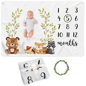 Paishanas Baby Monthly Milestone Blanket | Boy | Girl | Super Soft Premium Fleece | Monthly Blanket | Photo Props for Newborn | Photography Backdrop 60″ x 40″ | Gender Neutral