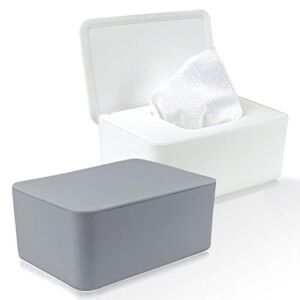 DOERDO 2 PCS Wipes Dispenser Wet Wipe Holder with Lid Wipes Tissue Case Tissue Storage Box Keeps Baby Wipes Fresh and Safe(White,Gray)