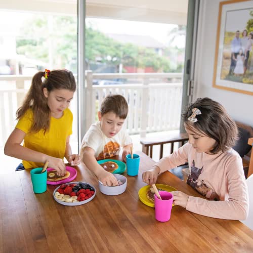 Bobo&Boo Colorful Plant-Based 7.5 inch Kids Plates for Toddler Eating – Set of 3, Plant-Based, Melamine-Free And Microwave Safe – Eco-Friendly Toddler Plate Set for Boys and Girls – Tropical | The Storepaperoomates Retail Market - Fast Affordable Shopping