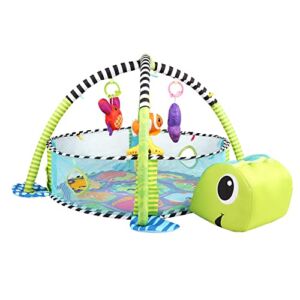 COLOR TREE Baby Activity Gym & Ball Pit 3-in-1 Baby Playmat for Tummy Time Activity Center for Infants Toddlers with 30 Balls and 4 Linkable Toys