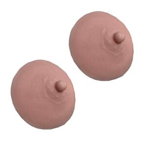 Surrui Adhesive Silicone Nipples for Breast Forms Crossdressers Washable Nipples Cover for Women style 1-1 One Size