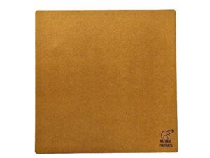 Natural Playmats Baby and Toddler Play Mat, Cork and Natural Rubber, Non-Toxic, 4.1 ft x 4.1 ft