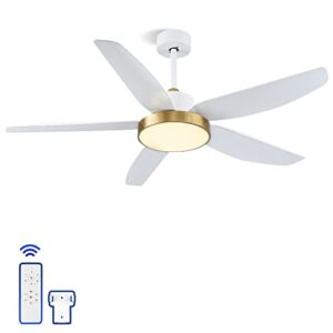 ALUOCYI 56 Inch Ceiling Fan with Light and Remote Control, Modern indoor Ceiling Fan with 3 color lights,Memory and Timing function,5 Blades, 6 Speeds, for Living Room, Bedroom,Gym,Basement,Gold-White