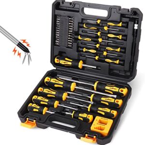 HORUSDY 43-piece Magnetic Screwdrivers Set with Case, Include Phillips, Slotted, Pozidriv, Hex, Torx, and Magnetizer demagnetizer Precision Screwdriver Set for Tools for Men