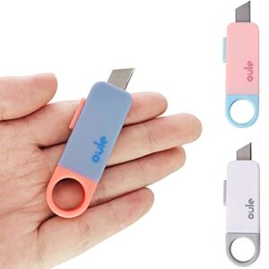 3 Pcs Mini Key Utility Knives Box Cutter Keychain Package Opener Portable Retractable Letter Opener for Cutting Tape Envelopes Plastic Bags Express Unpacking Manual Cutting Paper in the Office Shool