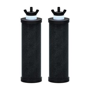 Purewell PB-2 Black Purification Elements, Replacement Filters for PB-2/BB9-2 Purification Elements and Gravity Water Filter System (2 Pack)